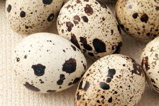 Шампиньоны с перепелиными яйцами