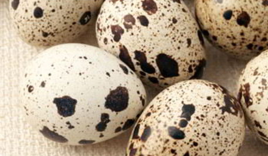 Рецепт шампиньонов с перепелиными яйцами