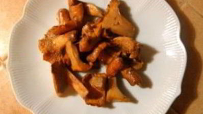 тушеные лисички