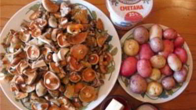 жареные грибы рыжики