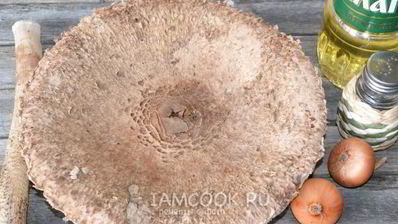 жареные зонтики