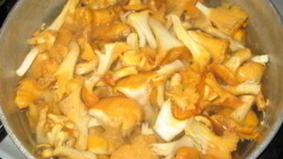 гуляш из лисичек