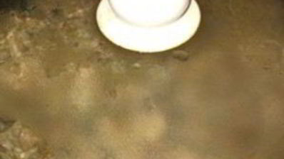 гуляш из свинины со сливками