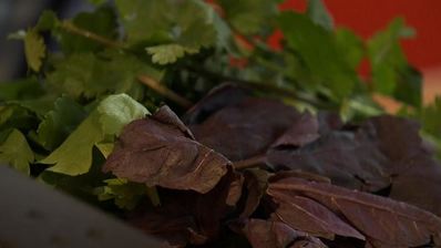 суп-гуляш из говядины