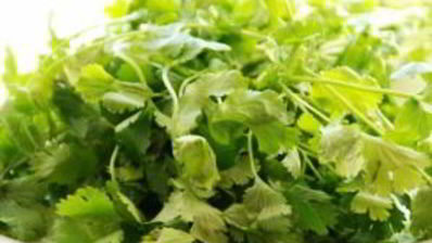 котлеты из форели