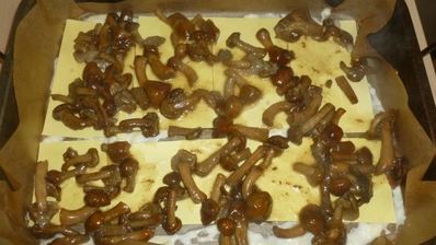 лазанья с опятами