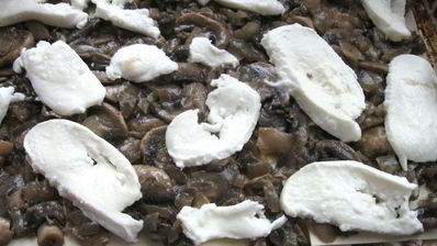 лазанья с рагу болоньезе, грибами и моцареллой