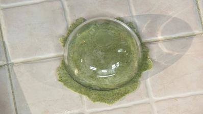 зеленые манты с тыквой