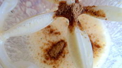 картофель по-французски