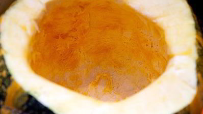 кролик в тыкве