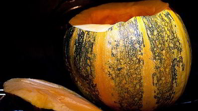 кролик в тыкве