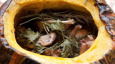 кролик в тыкве