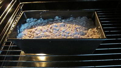 террин куриный с творогом по-шведски