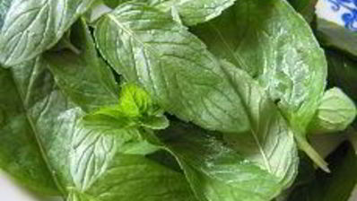 кабачки под орехово-мятным соусом