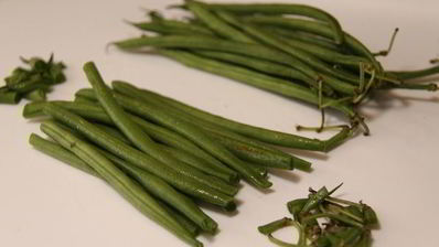 зеленая фасоль с тахини и креветками