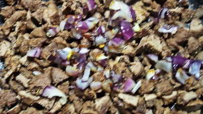 печенка в овощной оболочке