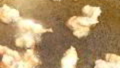 плов с фаршированным болгарским перцем