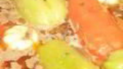 плов с фаршированным болгарским перцем