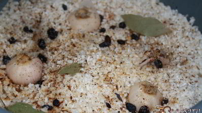 плов со свиным беконом