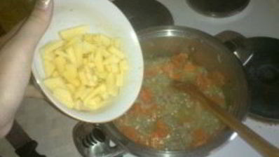 рагу с фаршем и овощами