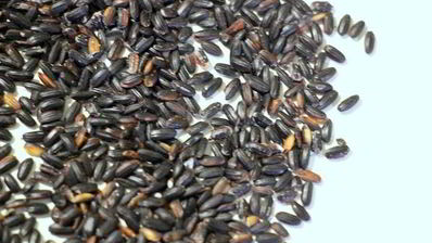 ризотто с белой рыбой венере