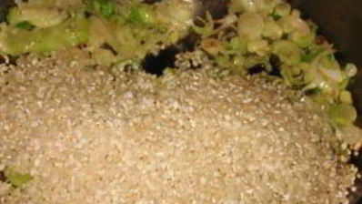 ризотто с сыром пармезан