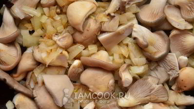 ризотто с вешенками