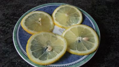 дорада в духовке запеченная с картофелем и овощами