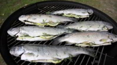 форель в коптильне