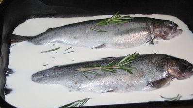 форель в сливках