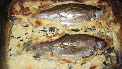 форель в сливках
