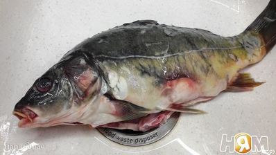 королевский карп, запеченный на подушке из овощей