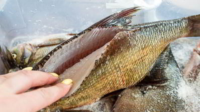 лещ горячего копчения