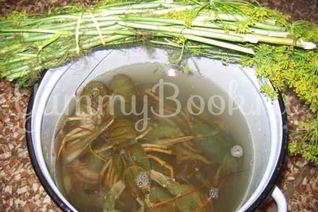 Раки в пиве