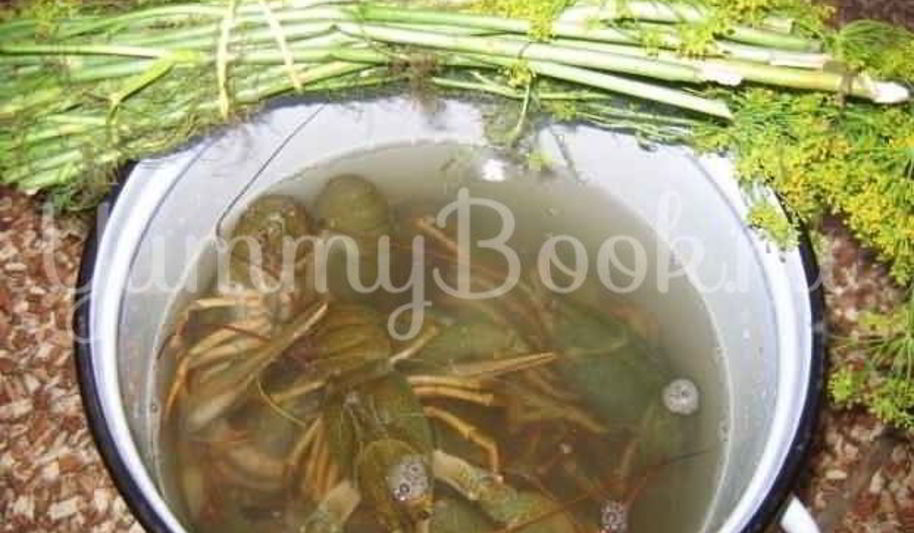 Рецепт раков в пиве