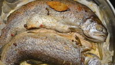 речная рыба в духовке