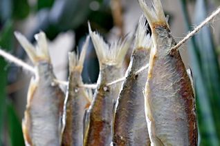 Вяленая корюшка, мойва и подлещики