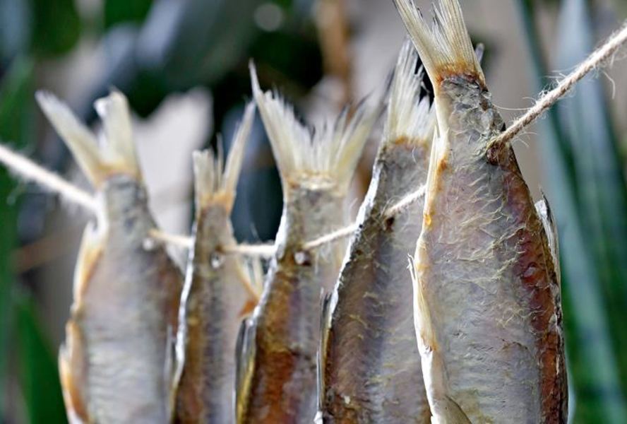 Вяленая корюшка, мойва и подлещики