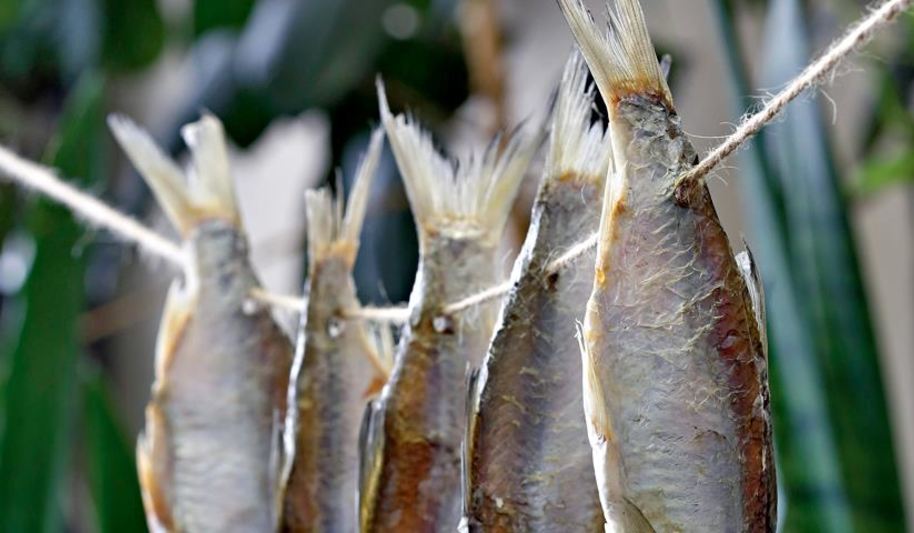 Рецепт вяленой корюшки, мойвы и подлещики