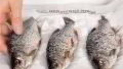 вяленая корюшка, мойва и подлещики