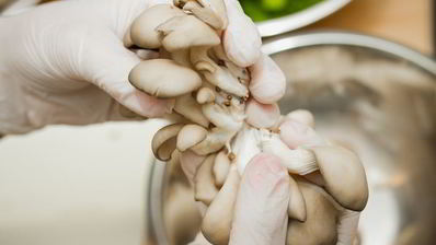 шашлычки из креветок и свинины