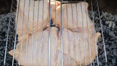 шашлык из бедрышек