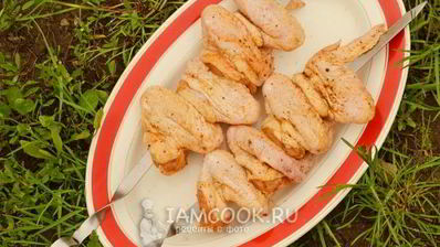 шашлык из куриных крылышек