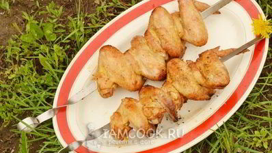 шашлык из куриных крылышек
