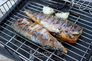 Шашлык из скумбрии на решетке