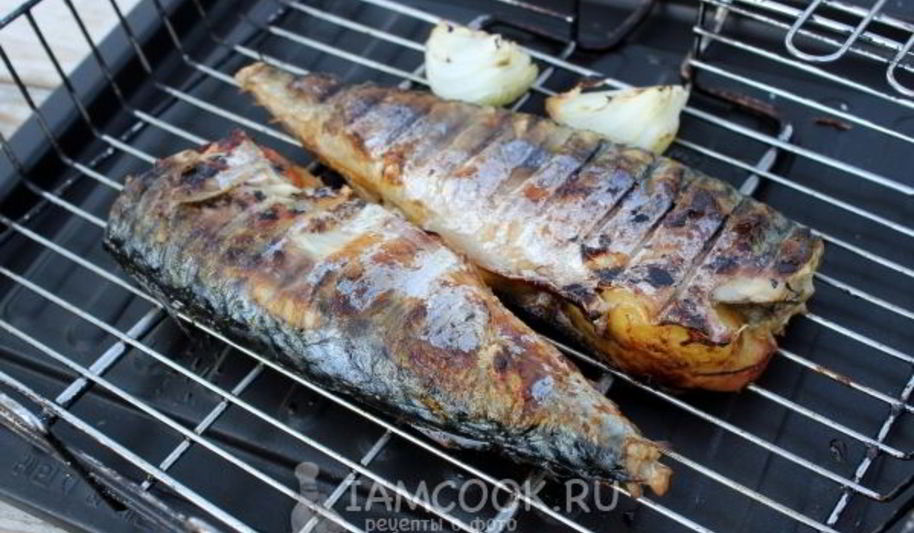 Рецепт шашлыка из скумбрии на решетке