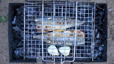 шашлык из скумбрии на решетке