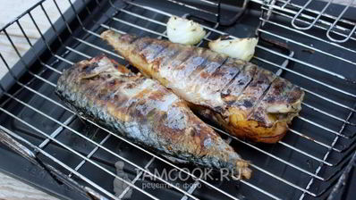 шашлык из скумбрии на решетке