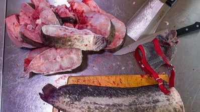 шашлык из сома