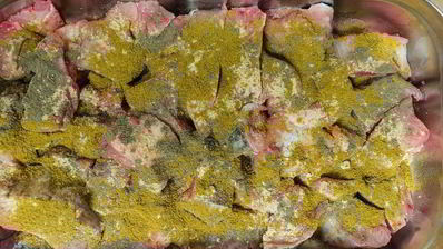 шашлык из сома